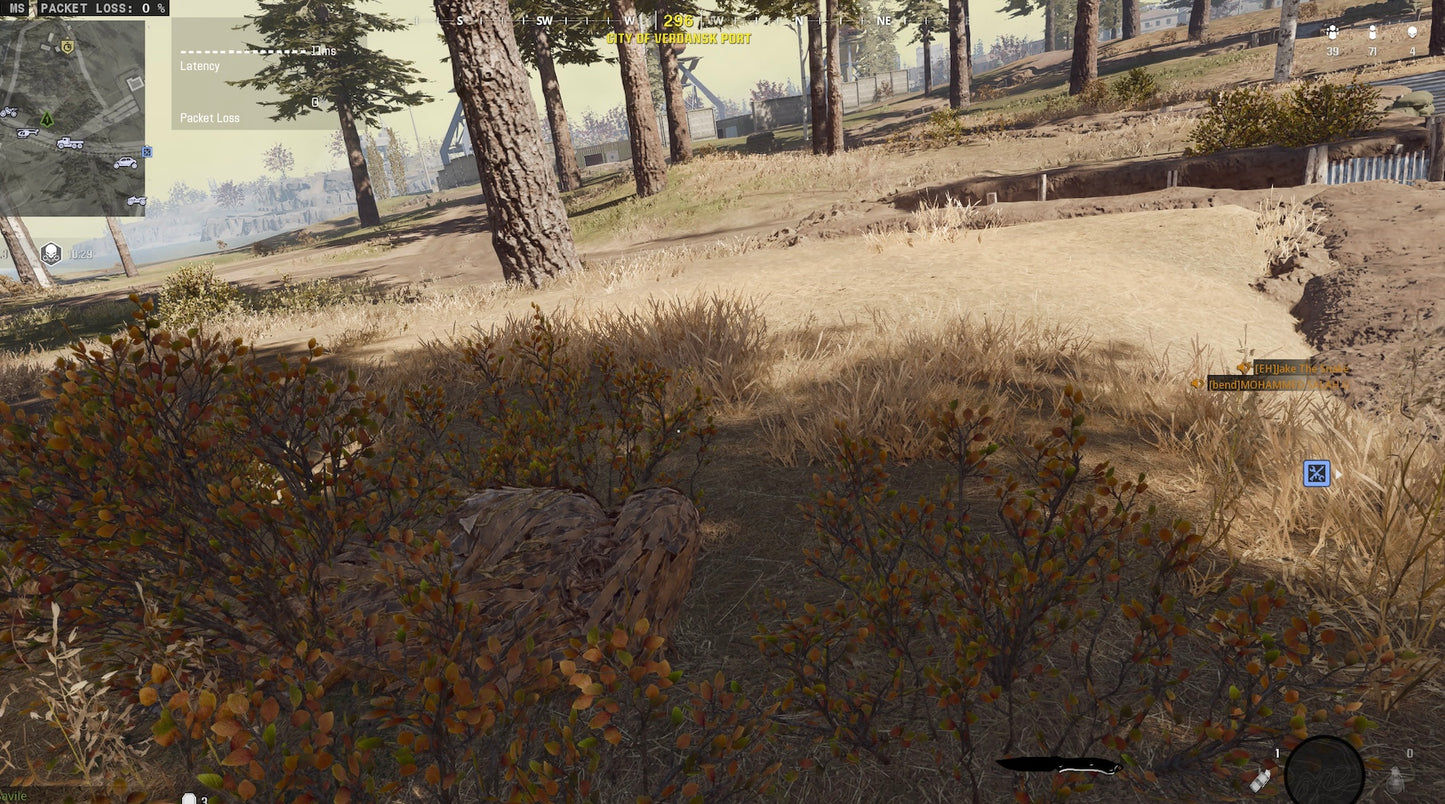 Sasquatch Ghillie Suit Skin Bundle Item